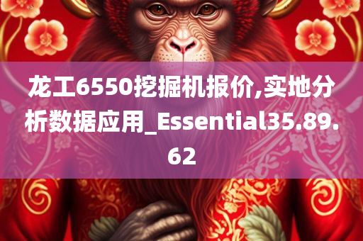 龙工6550挖掘机报价,实地分析数据应用_Essential35.89.62