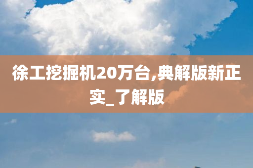 徐工挖掘机20万台,典解版新正实_了解版