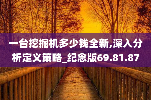 一台挖掘机多少钱全新,深入分析定义策略_纪念版69.81.87