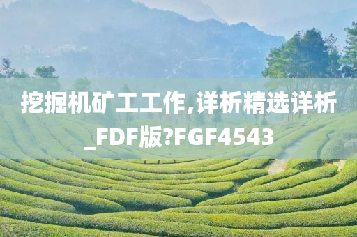 挖掘机矿工工作,详析精选详析_FDF版?FGF4543