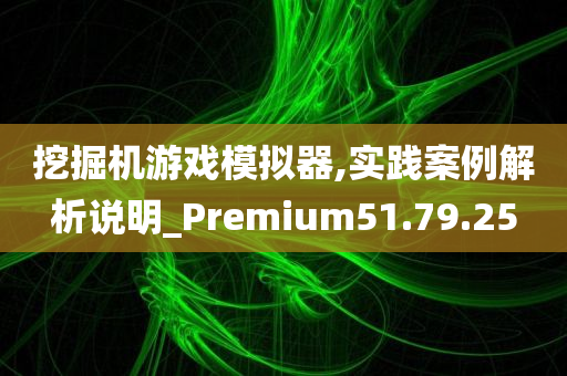 挖掘机游戏模拟器,实践案例解析说明_Premium51.79.25