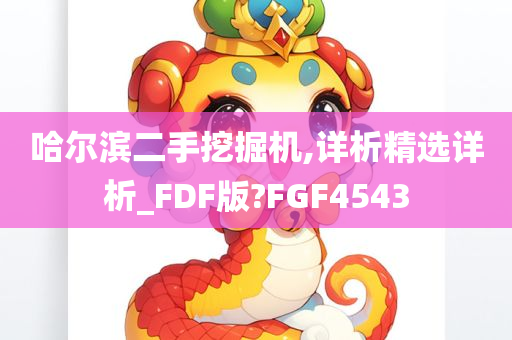 哈尔滨二手挖掘机,详析精选详析_FDF版?FGF4543