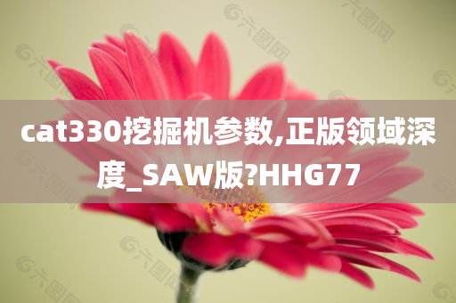 cat330挖掘机参数,正版领域深度_SAW版?HHG77