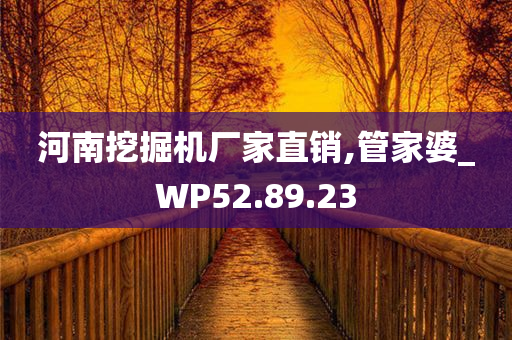 河南挖掘机厂家直销,管家婆_WP52.89.23