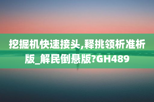 挖掘机快速接头,释挑领析准析版_解民倒悬版?GH489