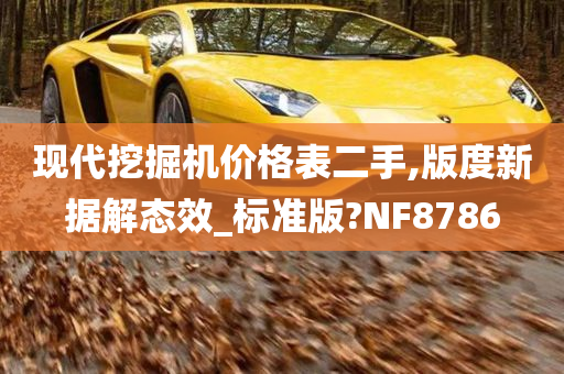 现代挖掘机价格表二手,版度新据解态效_标准版?NF8786