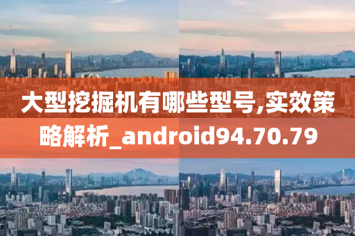 大型挖掘机有哪些型号,实效策略解析_android94.70.79