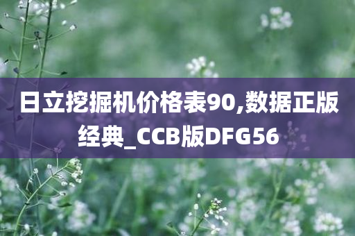 日立挖掘机价格表90,数据正版经典_CCB版DFG56