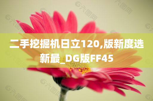 二手挖掘机日立120,版新度选新最_DG版FF45