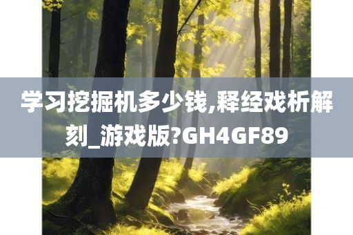 学习挖掘机多少钱,释经戏析解刻_游戏版?GH4GF89