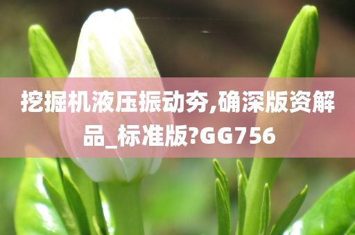 挖掘机液压振动夯,确深版资解品_标准版?GG756