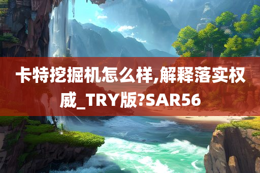 卡特挖掘机怎么样,解释落实权威_TRY版?SAR56