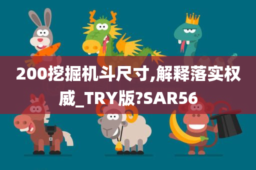 200挖掘机斗尺寸,解释落实权威_TRY版?SAR56