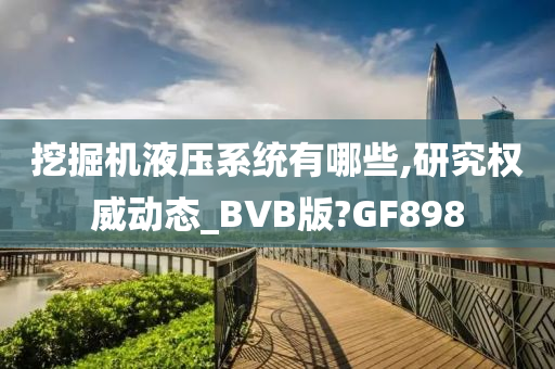 挖掘机液压系统有哪些,研究权威动态_BVB版?GF898