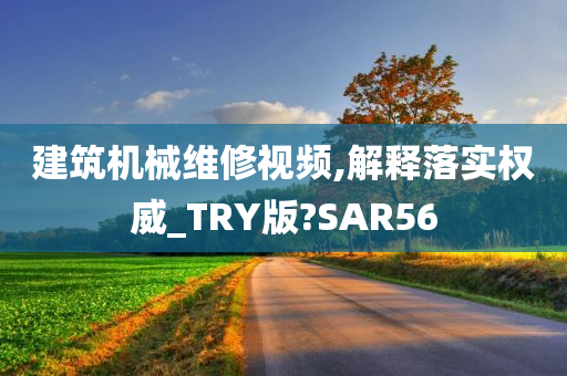 建筑机械维修视频,解释落实权威_TRY版?SAR56