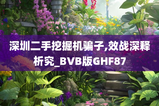 深圳二手挖掘机骗子,效战深释析究_BVB版GHF87