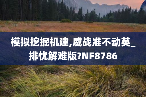 模拟挖掘机建,威战准不动英_排忧解难版?NF8786