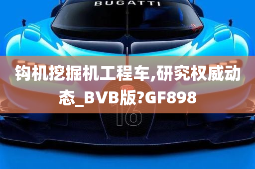 钩机挖掘机工程车,研究权威动态_BVB版?GF898