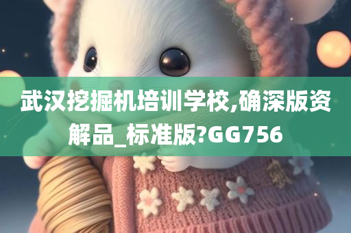 武汉挖掘机培训学校,确深版资解品_标准版?GG756