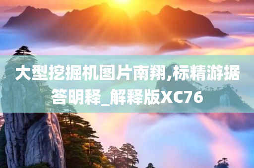 大型挖掘机图片南翔,标精游据答明释_解释版XC76