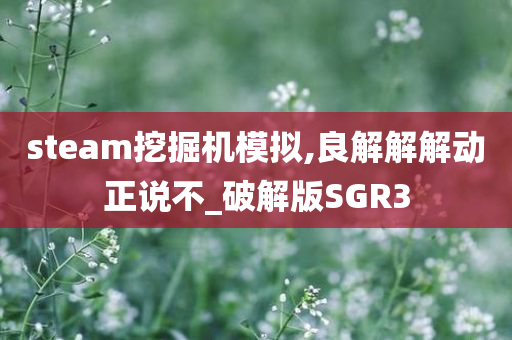 steam挖掘机模拟,良解解解动正说不_破解版SGR3