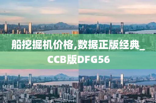 船挖掘机价格,数据正版经典_CCB版DFG56