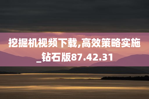 挖掘机视频下载,高效策略实施_钻石版87.42.31