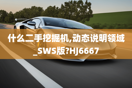 什么二手挖掘机,动态说明领域_SWS版?HJ6667