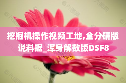 挖掘机操作视频工地,全分研版说料据_浑身解数版DSF8