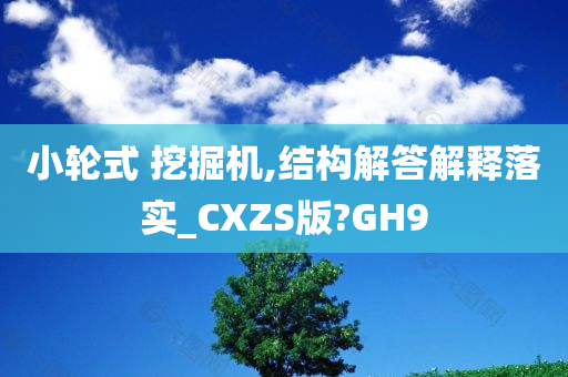 小轮式 挖掘机,结构解答解释落实_CXZS版?GH9