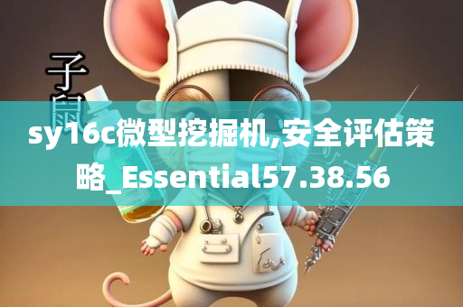 sy16c微型挖掘机,安全评估策略_Essential57.38.56