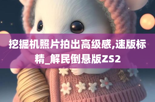 挖掘机照片拍出高级感,速版标精_解民倒悬版ZS2