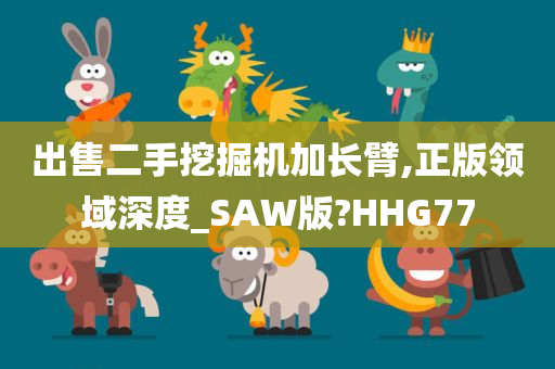 出售二手挖掘机加长臂,正版领域深度_SAW版?HHG77