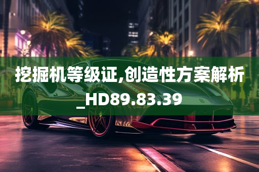 挖掘机等级证,创造性方案解析_HD89.83.39