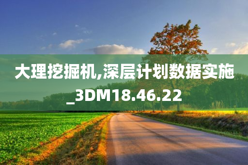 大理挖掘机,深层计划数据实施_3DM18.46.22