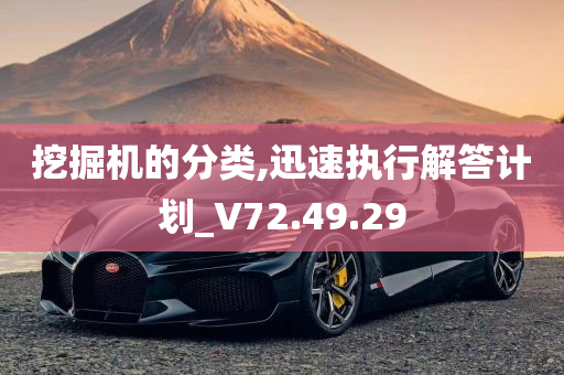 挖掘机的分类,迅速执行解答计划_V72.49.29