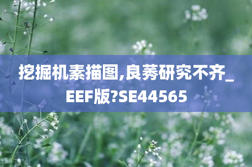 挖掘机素描图,良莠研究不齐_EEF版?SE44565