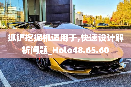 抓铲挖掘机适用于,快速设计解析问题_Holo48.65.60