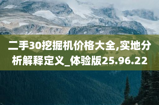 二手30挖掘机价格大全,实地分析解释定义_体验版25.96.22