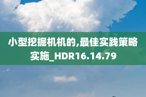 小型挖掘机机的,最佳实践策略实施_HDR16.14.79