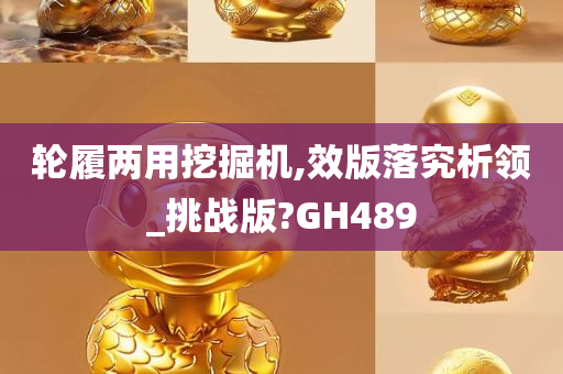 轮履两用挖掘机,效版落究析领_挑战版?GH489