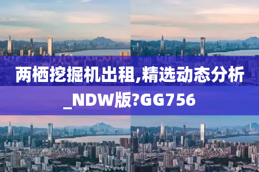 两栖挖掘机出租,精选动态分析_NDW版?GG756