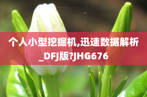 个人小型挖掘机,迅速数据解析_DFJ版?JHG676