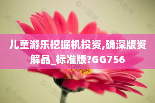 儿童游乐挖掘机投资,确深版资解品_标准版?GG756