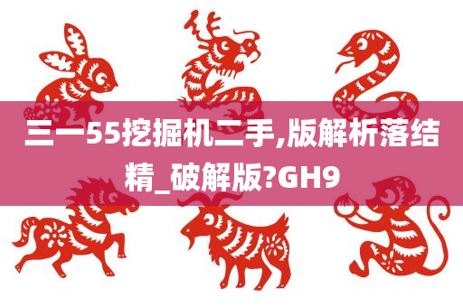 三一55挖掘机二手,版解析落结精_破解版?GH9