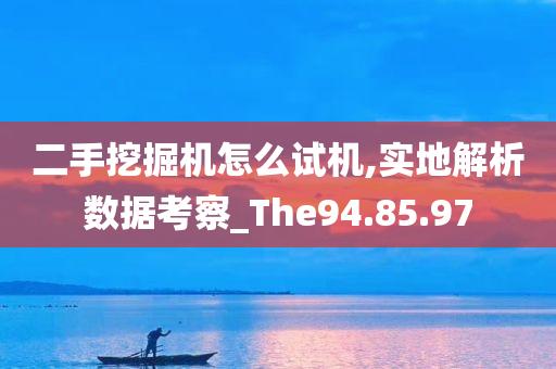 二手挖掘机怎么试机,实地解析数据考察_The94.85.97