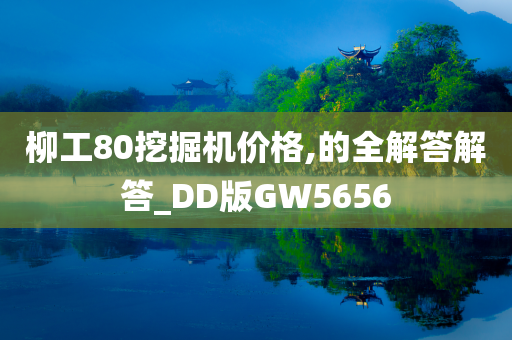 柳工80挖掘机价格,的全解答解答_DD版GW5656