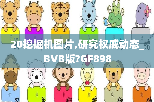 20挖掘机图片,研究权威动态_BVB版?GF898