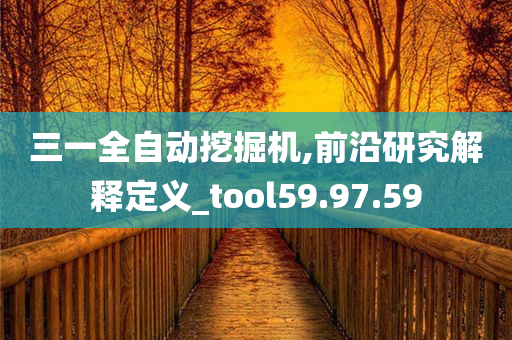 三一全自动挖掘机,前沿研究解释定义_tool59.97.59