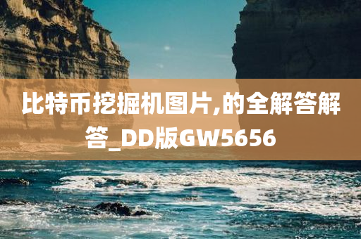 比特币挖掘机图片,的全解答解答_DD版GW5656